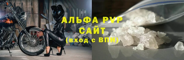 эйфоретик Баксан