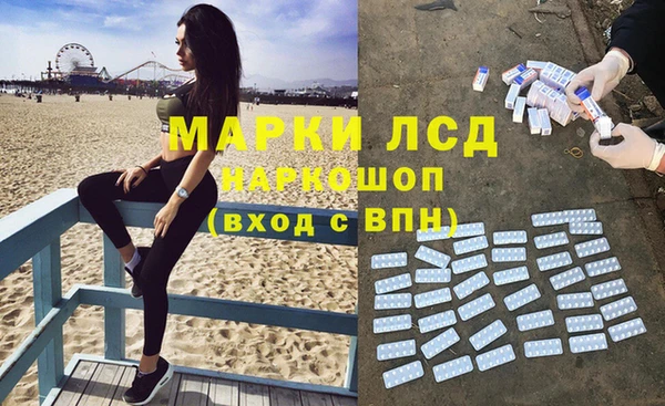 эйфоретик Баксан